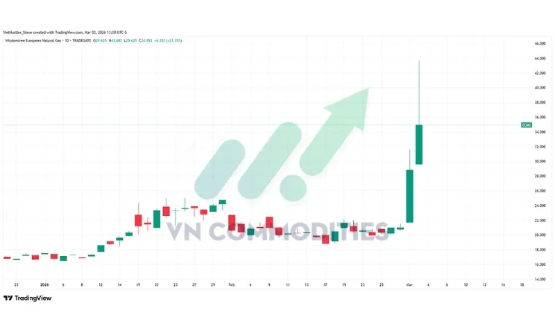 thị trường vĩ m&ocirc;: kh&iacute; đốt ch&acirc;u &Acirc;u